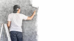 Walls Using Just A Paint Roller