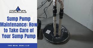 Sump Pump Maintenance How To Take Care