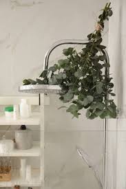 Benefits Of Eucalyptus In Your Shower