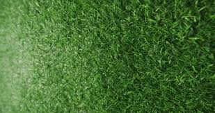 Slider Shot Of Green Artificial Grass