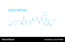 Endorphin Structural Chemical Formula