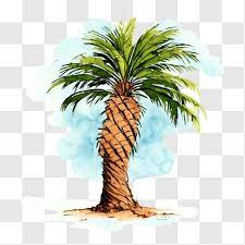 Decorative Watercolor Palm Tree