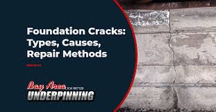 Foundation S Types Causes