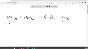 12 Moles Of Oxygen Gas 6 Moles Of Co2