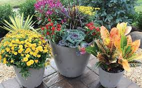 Best Long Island Custom Planters Top