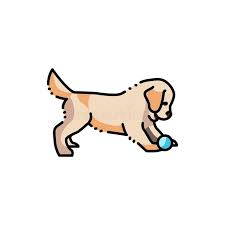 Golden Retriever Puppy Playing Ball