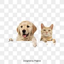 Dogs And Cats Png Transpa Images