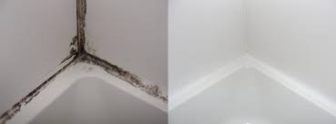 Moldy Shower Caulk Fixed
