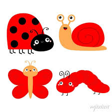 Red Insect Icon Set Erfly