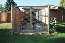 Diy Building The Perfect Dog Kennel