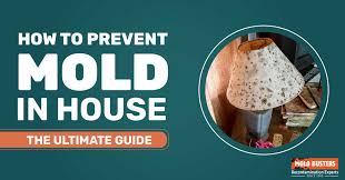 How To Prevent Mold In The House The