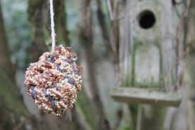 Pinecone Bird Feeder Diy For