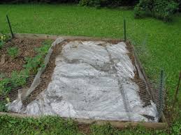 Soil Solarization For Control Of