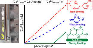 Affinity Of Calcium And Magnesium Ions