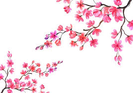 Cherry Blossom Clipart Images Free