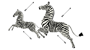The Iconic Prancing Scalamandré Zebras