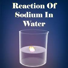 Reaction Of Sodium In Water Apps