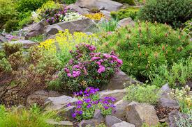 How To Build A Rockery