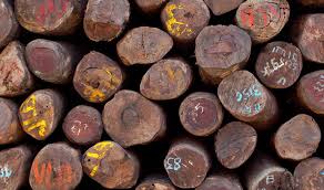 Cites Finally Act To Protect Rosewood