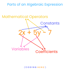 Algebraic Expression Formula What Is