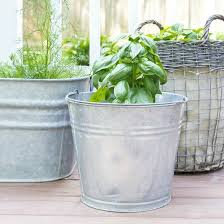 Container Herb Garden Ideas Grow Your