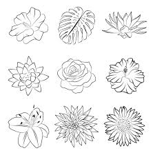 Doodle Isolated Flower Collection