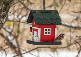 Benefits Of Having A Backyard Birdhouse