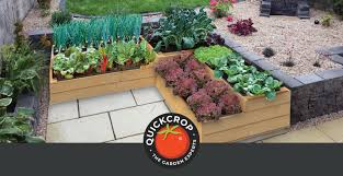The Benefits Of Raised Bed Gardening