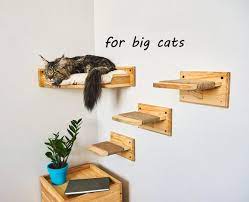 Big Cat Shelves Large Cat Furniture