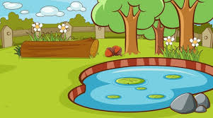 Fish Pond Vectors Ilrations For