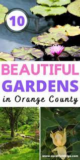 10 Botanical Gardens In Orange County