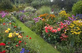 Growing A Cottage Garden To Fit Today S