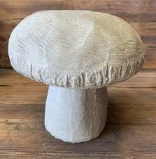 Large Toadstool Mushroom