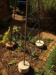 Sy Garden Tripods