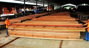 Philippines Filtra Timber