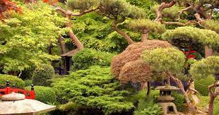 Best Japanese Gardens Outside Of Japan
