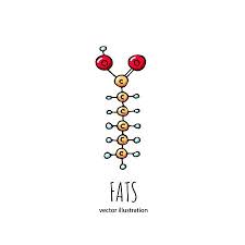 Hand Drawn Doodle Fat Chemical Formula