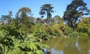 San Francisco Botanical Garden Day Trip