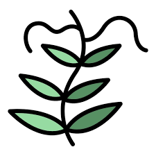 Lentil Garden Plant Icon Outline Lentil
