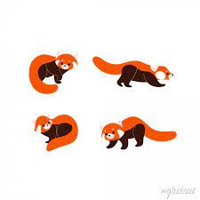 Cartoon Red Panda Icon Set Cute Animal