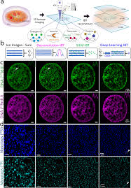 ion beam tomography