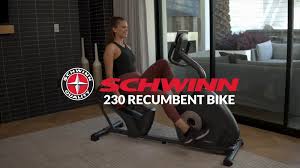 Schwinn 230 Recumbent Bike Review Pros