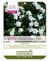 Swan Princess Gardeners Confidence