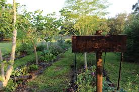 How To Plant A Food Forest Part 1