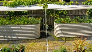 Are Galvanized Raised Garden Beds Safe