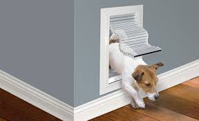 How To Choose A Dog Door The Home Depot