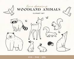 Woodland Animals Line Drawing Clipart