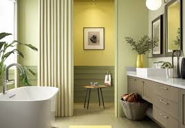 Bathroom Colour Combination Ideas For A