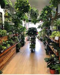 65 Indoor Garden Ideas You Will Fall For