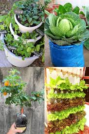 Container Vegetable Garden Ideas